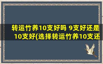 转运竹养10支好吗 9支好还是10支好(选择转运竹养10支还是9支？如何让绿萝美丽*竹架中？)